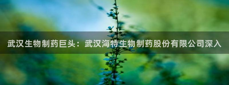 ag九游老哥俱乐部：武汉生物制药巨头：武汉海特生物制药股份有限公司深入

