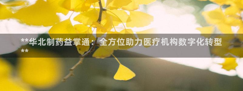 九游会老哥俱乐部官网首页：**华北制药益掌通：全方位助力医疗机构数字化转型
**