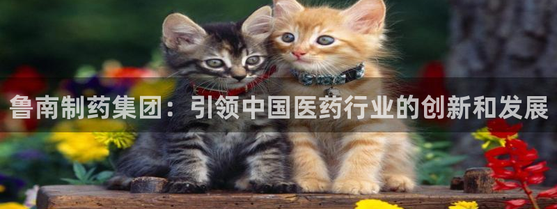 九游会老哥俱乐部官网：鲁南制药集团：引领中国医药行业的创新和发展