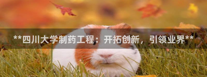 九游会老哥必备的交流社区：**四川大学制药工程：开拓创新，引领业界**