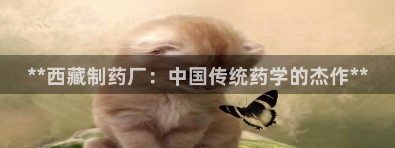 九游会老哥：**西藏制药厂：中国传统药学的杰作**
