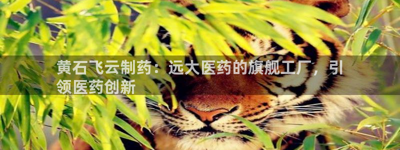 9游会老哥俱乐部：黄石飞云制药：远大医药的旗舰工厂，引
领医药创新