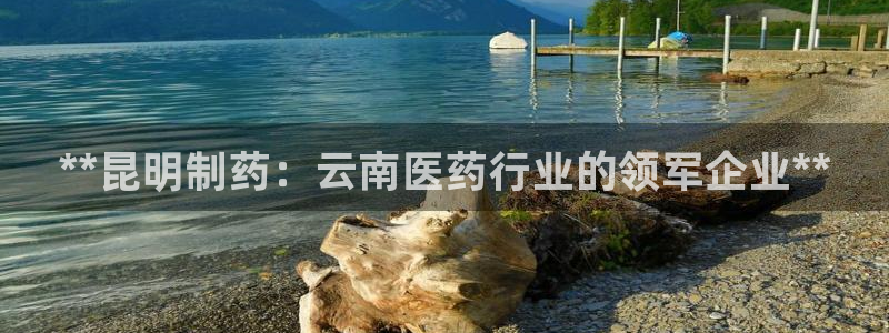 九游会老哥俱乐部：**昆明制药：云南医药行业的领军企业**