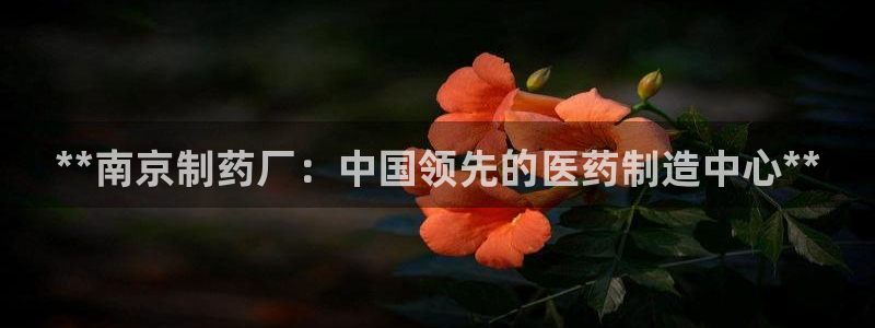 九游会老哥必备的交流社区：**南京制药厂：中国领先的医药制造中心**