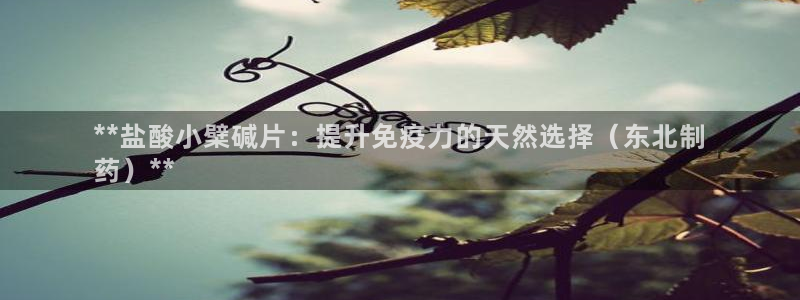 j9九游会老哥俱乐部交流区：**盐酸小檗碱片：提升免疫力的天然选择（东北制
药）**