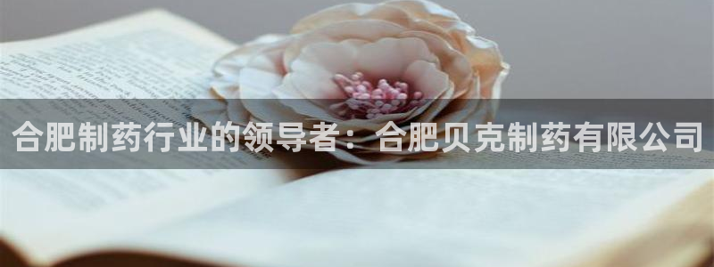 九游会老哥俱乐部官网：合肥制药行业的领导者：合肥贝克制药有限公司