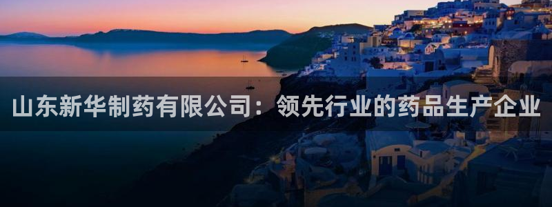九游会老哥俱乐部官网：山东新华制药有限公司：领先行业的药品生产企业