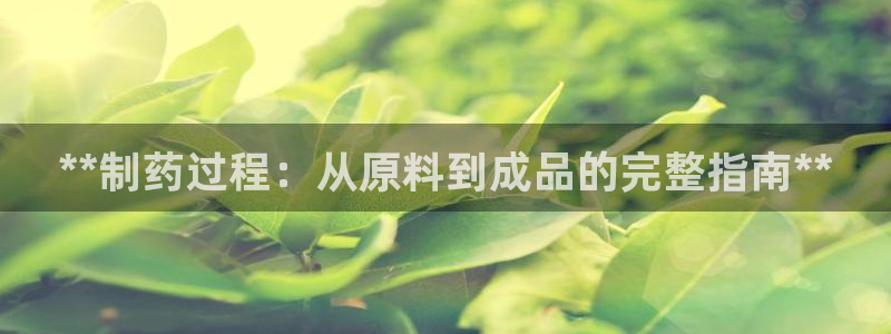 老哥俱乐部是干什么的：**制药过程：从原料到成品的完整指南**