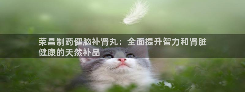 ag九游会老哥：荣昌制药健脑补肾丸：全面提升智力和肾脏
健康的天然补品