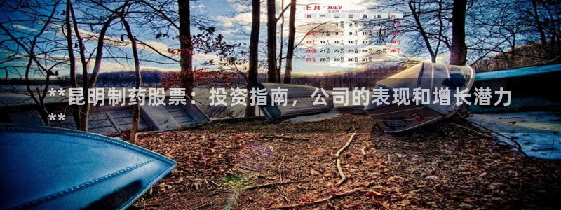 老哥吧九游会下架吗：**昆明制药股票：投资指南，公司的表现和增长潜力
**