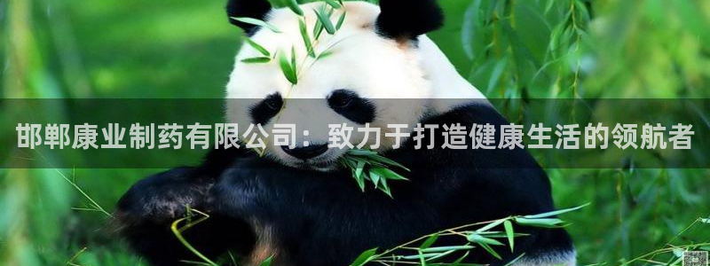 九游会老哥：邯郸康业制药有限公司：致力于打造健康生活的领航者