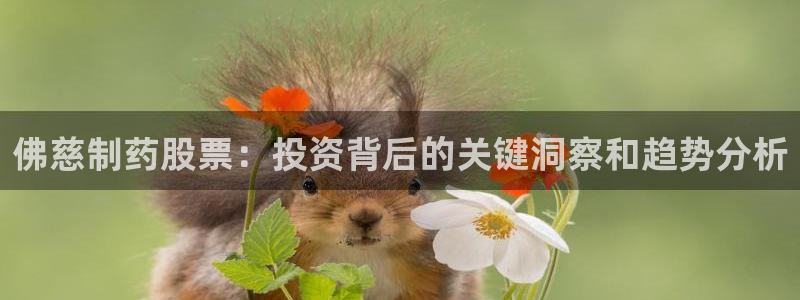 九游会老哥俱乐部官网：佛慈制药股票：投资背后的关键洞察和趋势分析