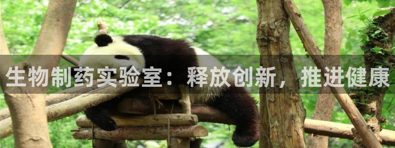 九游会老哥俱乐部官方网站：生物制药实验室：释放创新，推进健康