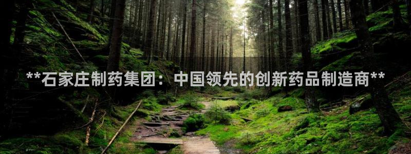 ag九游会老哥：**石家庄制药集团：中国领先的创新药品制造商**