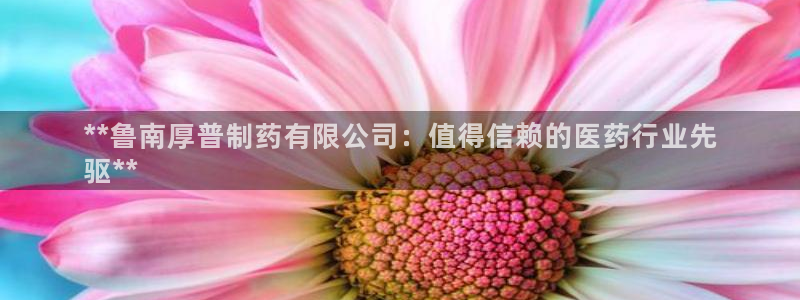 九游会老哥必备的交流社区：**鲁南厚普制药有限公司：值得信赖的医药行业先
驱**