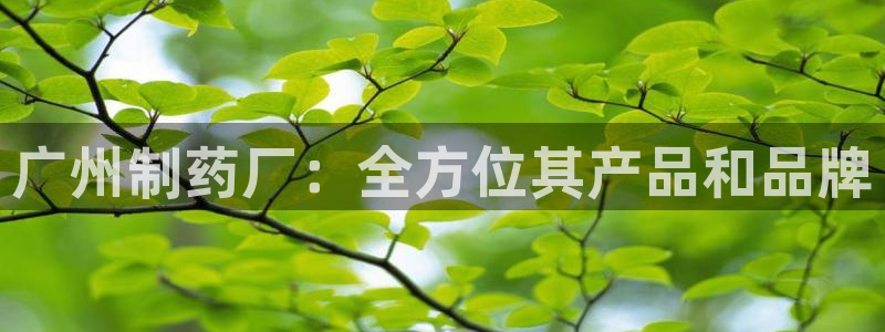 九游老哥俱乐部官网登录不了：广州制药厂：全方位其产品和品牌