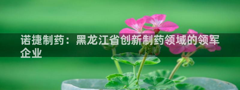 九游会老哥俱乐部官方网站：诺捷制药：黑龙江省创新制药领域的领军
企业