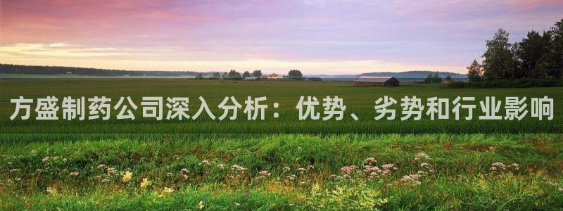 九游老哥俱乐部官网登录不了：方盛制药公司深入分析：优势、劣势和行业影响