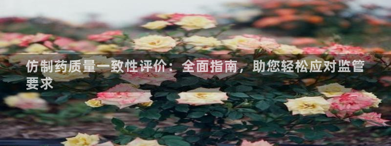 九游老哥俱乐部官网登录网址：仿制药质量一致性评价：全面指南，助您轻松应对监管
要求