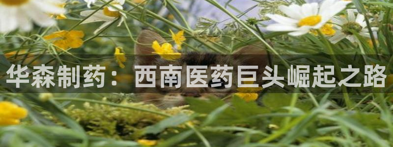 老哥吧九游会下架吗：华森制药：西南医药巨头崛起之路
