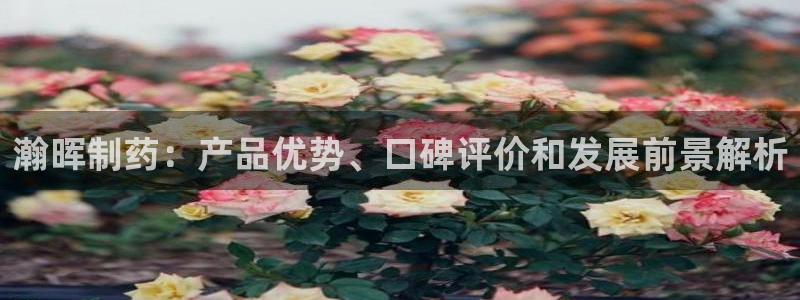 ag九游会老哥俱乐部：瀚晖制药：产品优势、口碑评价和发展前景解析