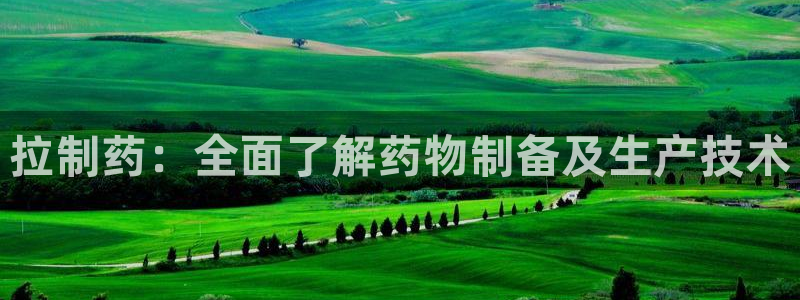 ag九游老哥俱乐部：拉制药：全面了解药物制备及生产技术