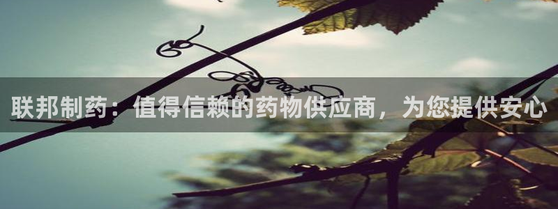 老哥吧九游会下架吗