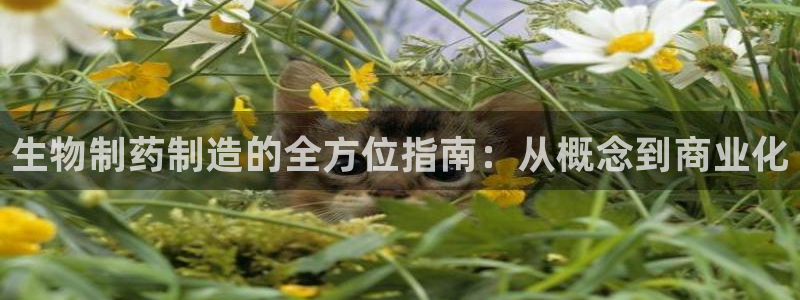 九游会老哥必备的交流社区九：生物制药制造的全方位指南：从概念到商业化