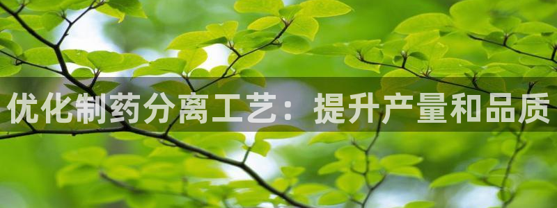 九游会老哥俱乐部官网首页论坛