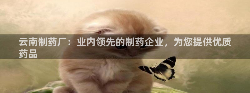 9游会老哥：云南制药厂：业内领先的制药企业，为您提供优质
药品