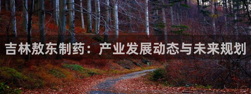 九游会老哥俱乐部官网：吉林敖东制药：产业发展动态与未来规划