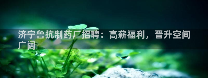 9游会老哥俱乐部：济宁鲁抗制药厂招聘：高薪福利，晋升空间
广阔