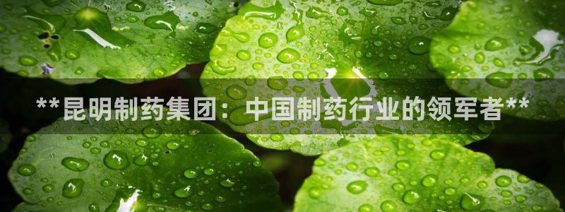 老哥俱乐部是干什么的：**昆明制药集团：中国制药行业的领军者**