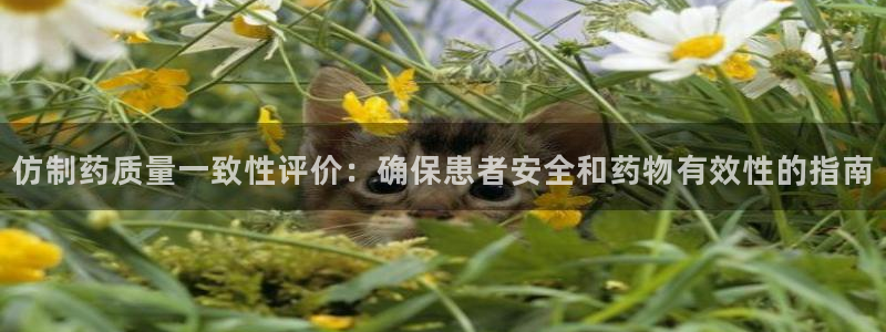 九游老哥俱乐部官网登录：仿制药质量一致性评价：确保患者安全和药物有效性的指南