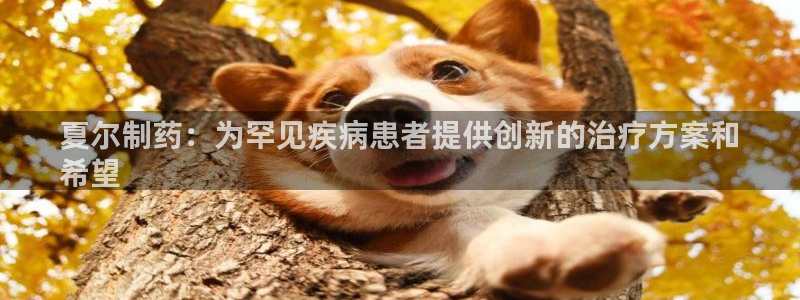 usdt九游会老哥俱乐部：夏尔制药：为罕见疾病患者提供创新的治疗方案和
希望