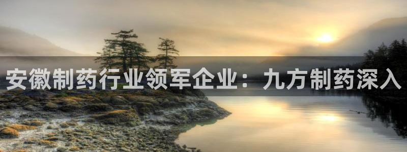 九游会老哥俱乐部必备的交流社区论坛：安徽制药行业领军企业：九方制药深入