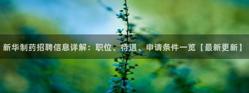 九游老哥俱乐部官网登录不了：新华制药招聘信息详解：职位、待遇