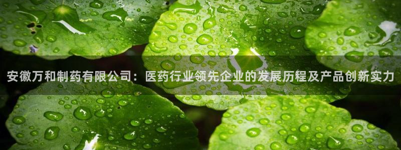 九游老哥俱乐部官网登录不了：安徽万和制药有限公司：医药行业领